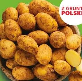 ziemniaki wczesne