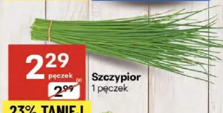 szczypiorek