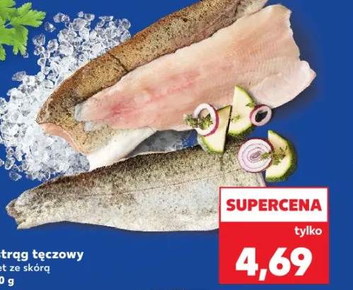 pstrąg tęczowy