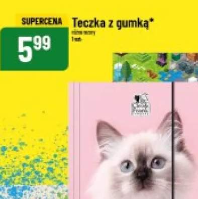 teczka z gumką