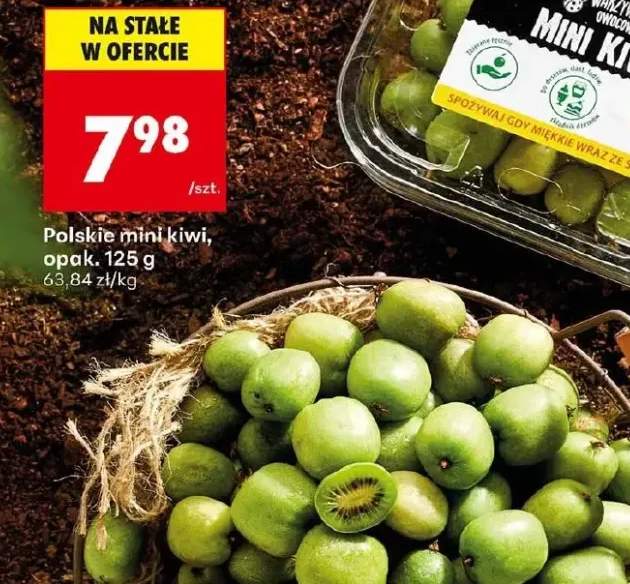 kiwi