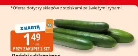 ogórek szklarniowy