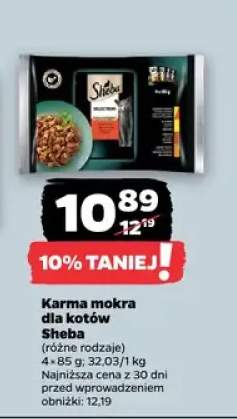 karma dla kota