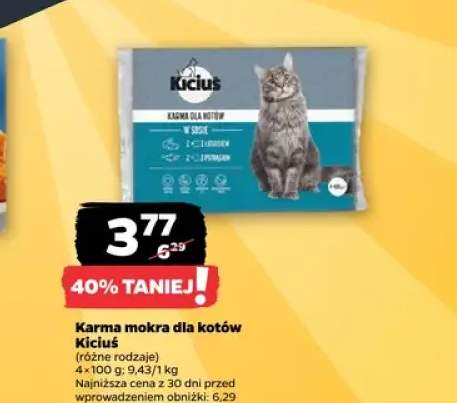 karma dla kota