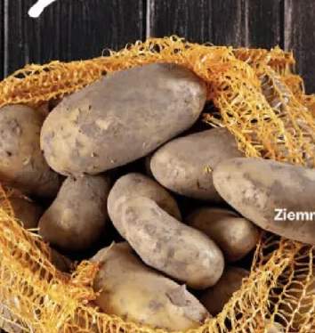 ziemniaki
