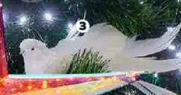 dekoracje świąteczne