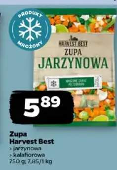 zupa mrożona