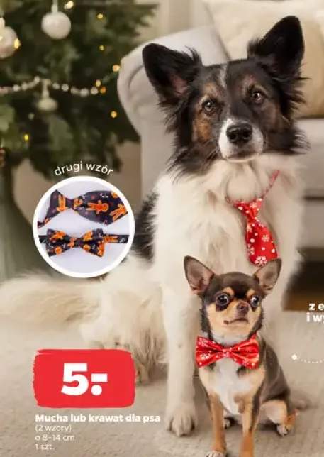 akcesoria dla zwierząt