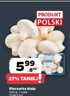Pieczarka biała 1 opak.