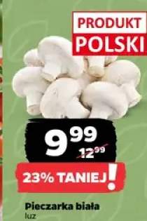 Pieczarka biała luz