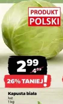 Kapusta biała luz