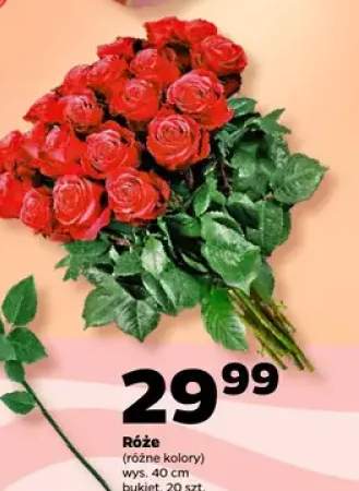 Róże 20 szt., różne kolory