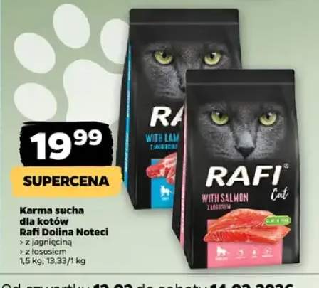 Karma sucha dla kotów z łososiem