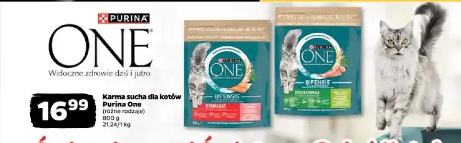 Karma sucha dla kotów, różne rodzaje