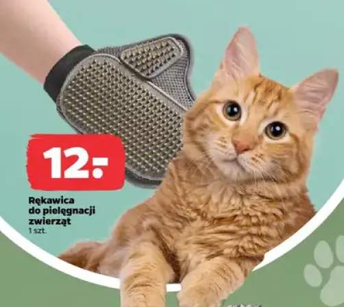 rękawice do sierści