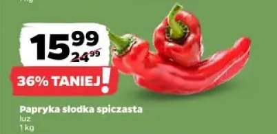 Papryka słodka spiczasta luz