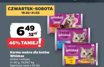 Karma mokra dla kotów, różne rodzaje