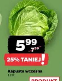 Kapusta wczesna