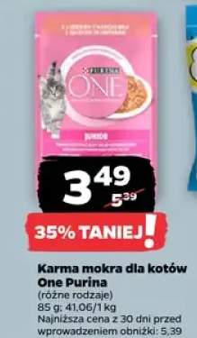 Karma mokra dla kotów, różne rodzaje