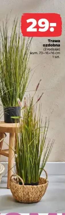 Trawa ozdobna