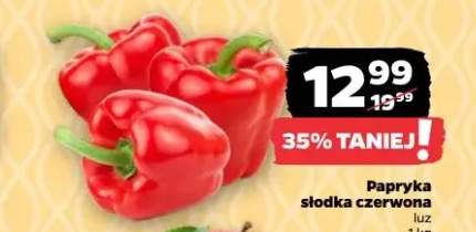 Papryka słodka czerwona luz