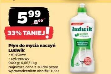 Płyn do mycia naczyń Ludwik miętowy 