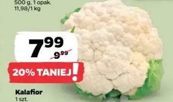 Kalafior