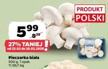 Pieczarka biała