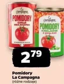 Pomidory różne rodzaje