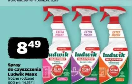 Spray do czyszczenia Ludwik Maxx