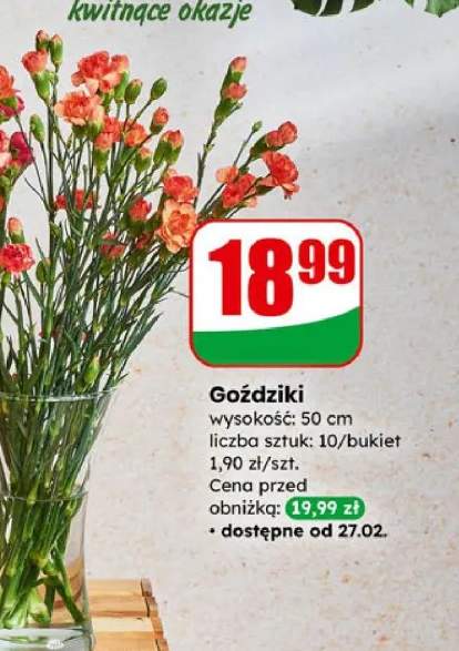 goździki