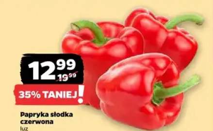 Papryka słodka czerwona luz