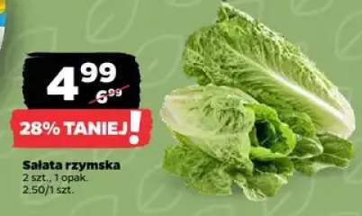 Sałata rzymska