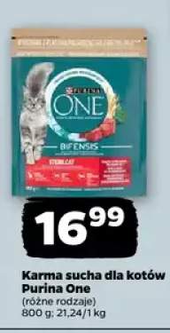 Karma sucha dla kotów