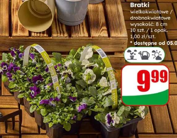 bratki