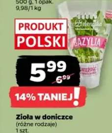 Zioła w doniczce (różne rodzaje)