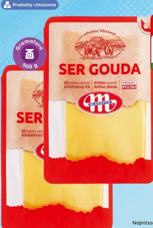 ser Gouda