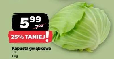 Kapusta gołąbkowa luz