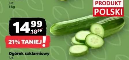 Ogórek szklarniowy luz