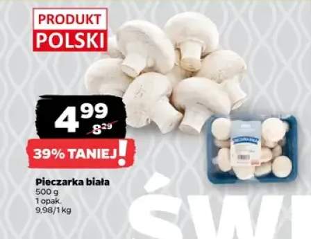 Pieczarka biała