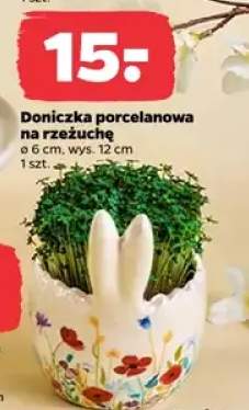doniczka