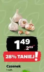 Czosnek
