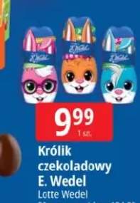 zając czekoladowy