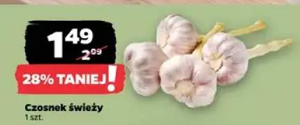 Czosnek świeży