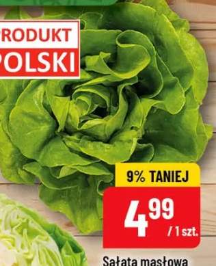 sałata masłowa