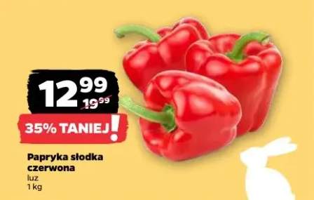 Papryka słodka czerwona luz