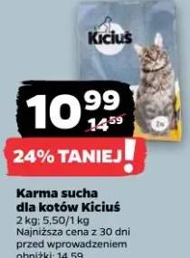 Karma sucha dla kotów