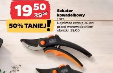 Sekator kowadełkowy