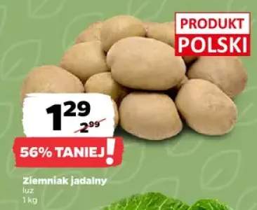 Ziemniak jadalny luz