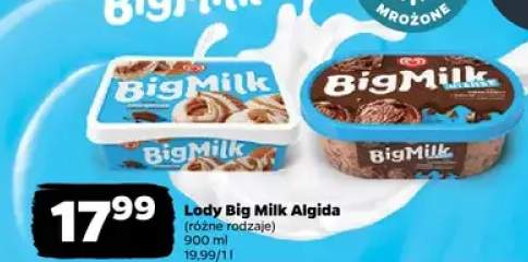 Lody różne rodzaje